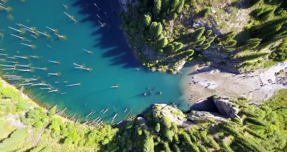 Coniferous Trees Rise From Depths of Mountain Lake