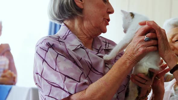 Senior women stroking kitten on armchair at retirement home 4k