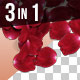 3D Rose Petals Transition - 3 Pack - VideoHive Item for Sale