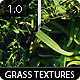 6 Clean Grass Textures 1.0 - GraphicRiver Item for Sale