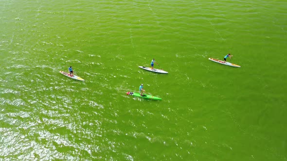 Aerial View of Four Young Athletes Rowing Sup Boats in the Early Morning