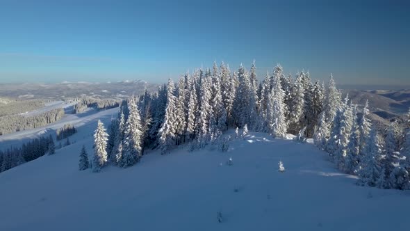 Flying Over the Forest and Mountains in Winter