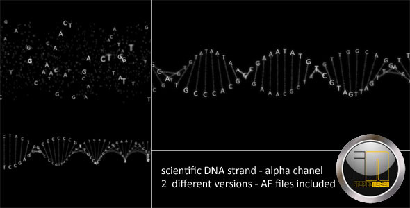 dna strand preview