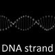 DNA Strand  - VideoHive Item for Sale