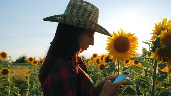 Young Attractive Farmer in Hat Working with Tablet in Sunflower Field Inspects Blooming Sunflowers