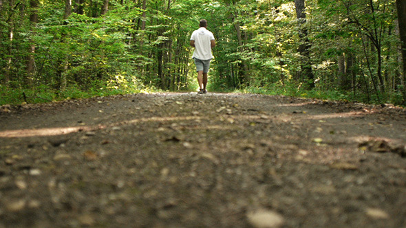 Man Walking On Forest Road 2