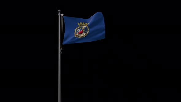 Oslo City Flag With Alpha 4K