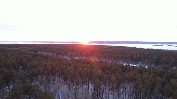 Red Sunset In The Winter Forest