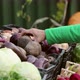 Buying beets in the Market.  2 Shots. - VideoHive Item for Sale