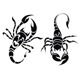 Scorpion - GraphicRiver Item for Sale