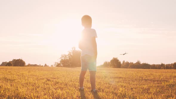 Little boy plays with a toy plane in a field at sunset. Childhood, freedom, inspiration concept.