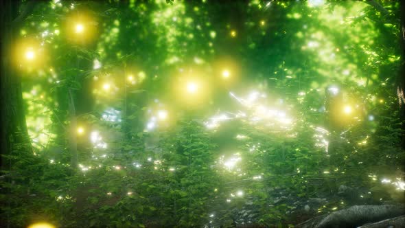 Firefly Flying in the Forest