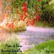 Spring Rain - AudioJungle Item for Sale
