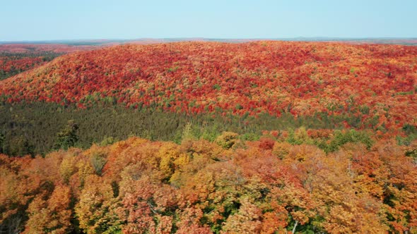 Aerial tracking shot of vast wilderness with forested fall colors and rolling hills against a clear