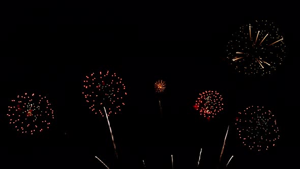 Many flashing colorful fireworks in event amazing with black background celebrate New Year.