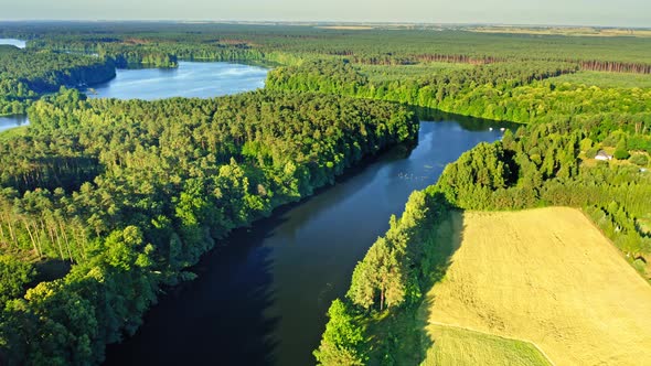 Blue river and green forests at sunrise in Poland