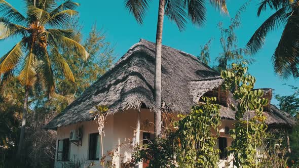 Tropical African Hotel with Thatched Roof Bungalows and Palm Trees Zanzibar