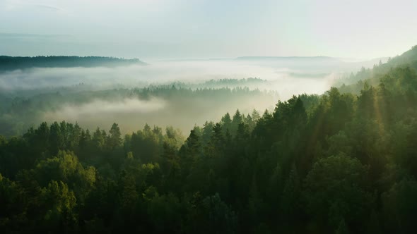 Passage over scenic, sunlit evergreen mountains shrouded in mist, aerial shot