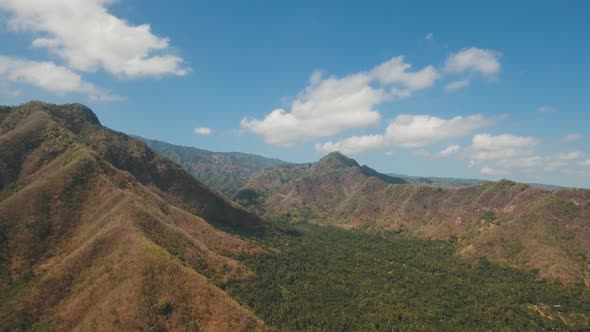 View of Mountain Forest Landscape