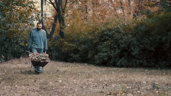 Garden Worker Pushing a Wheelbarrow Filled with Dry Leaves and Tree Branches To the Trashcan To