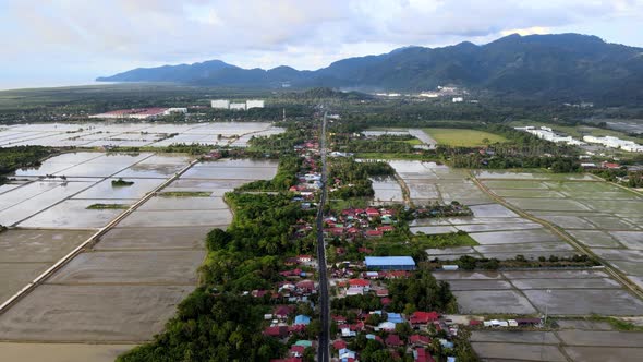 Aerial view road pass the paddy field