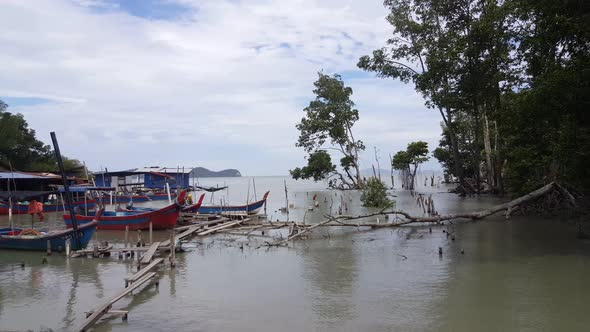 Fishing village near mangrove swamp.