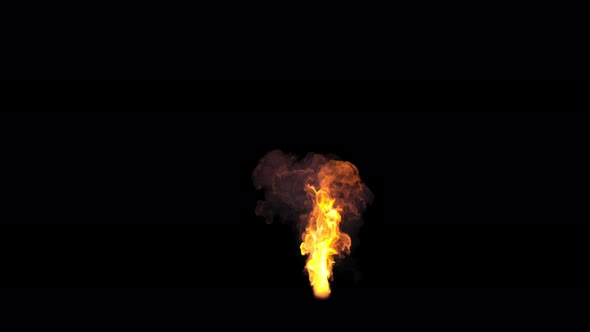 Fire Flame Up 4K alt