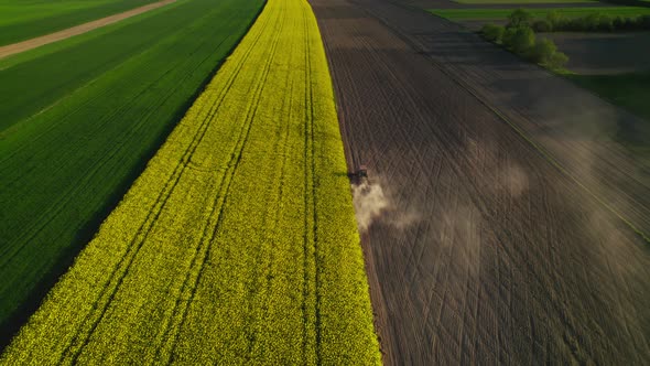 Tractor In The Field