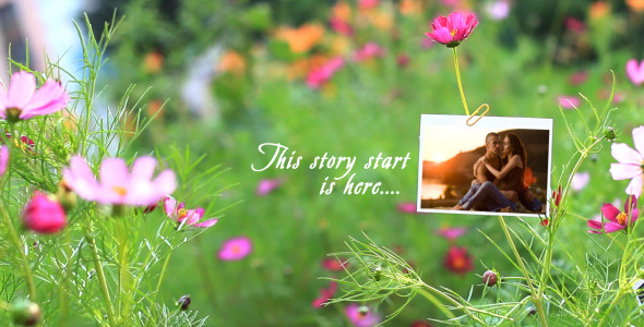 Romantic Flower Photo Gallery  alt