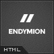 Endymion - Simple & Clean Corporate Template - ThemeForest Item for Sale