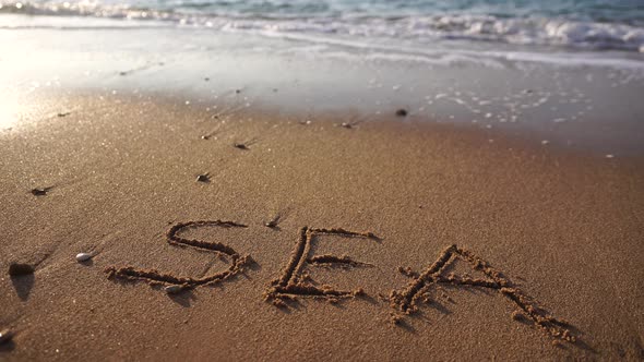 SEA Figures Hand Written in the Golden Sand on Beautiful Sunset Golden Light