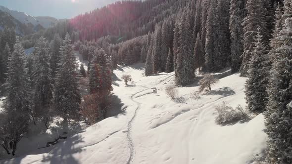 Aerial Landscape of Beautiful Winter Mountains