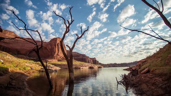 Time-lapse on Lake Powell with a tree and clouds reflecting in the water.