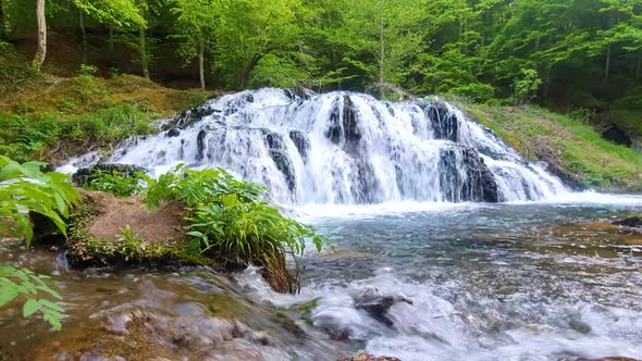 Beautiful waterfal in the forest