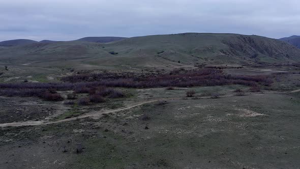 Aerial view of herd of horses grazing near lake Bugaz in mountains, watering hole, Crimea, Russia