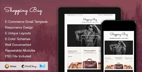 Shopping Bag – Responsive Ecommerce Email Template