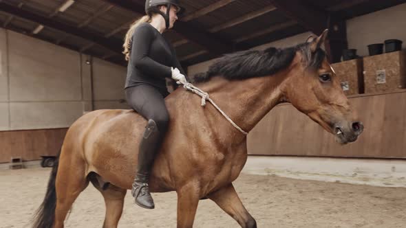 Young Woman Riding Horse Bareback In Paddock