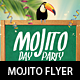 Mojito Party Flyer Template - GraphicRiver Item for Sale