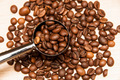 Coffee beans in a spoon - PhotoDune Item for Sale