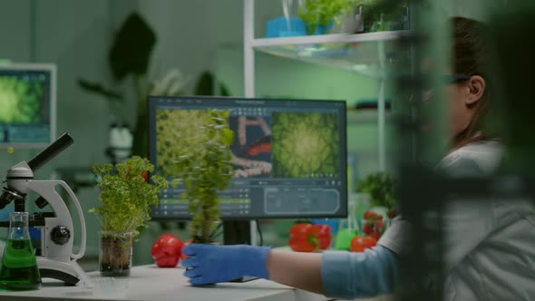 Researcher Woman Measuring Eco Sapling While Observing Biological Transformation