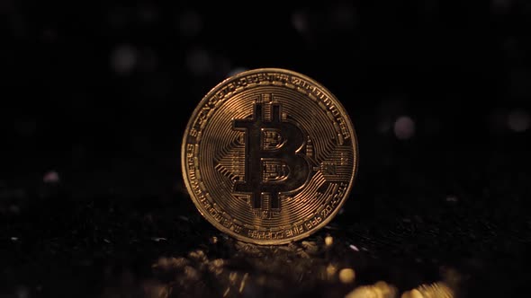 Gold Bitcoin Btc Coin Lies on Silver Background