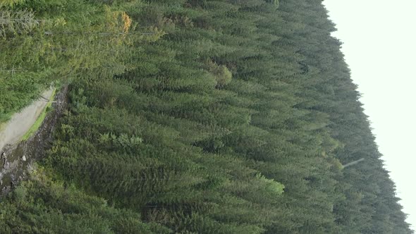 Vertical Video Carpathian Mountains