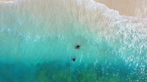 Ladies enjoying life on beautiful resort beach lifestyle by aqua blue sea and white sand background 