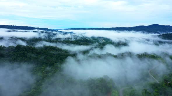 Aerial view of a tropical forest, part of Amazon rainforest, covered in fog