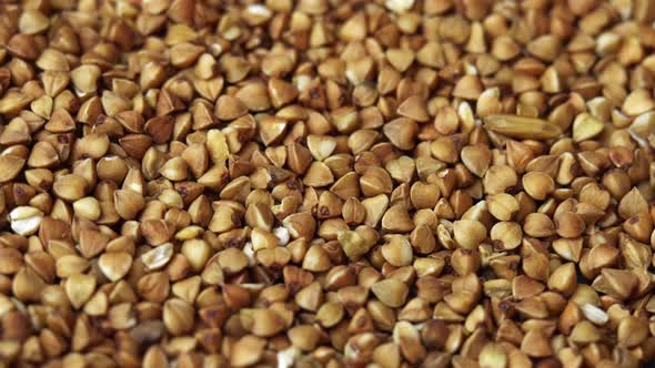 Buckwheat Groats Closeup Rotating As a Restaurant Backdrop Common Buckwheat is Seeds Fagopyrum