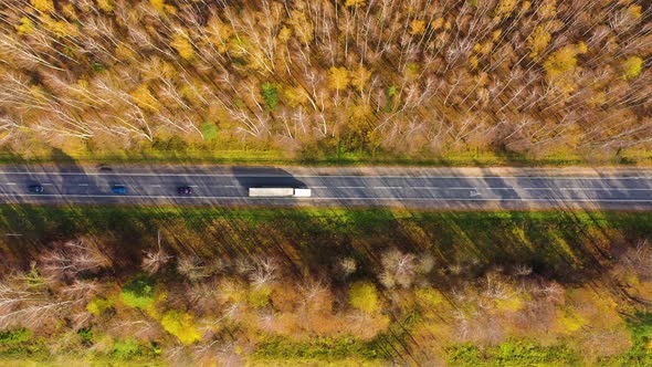 Road in the Autumn Forest Aerial View