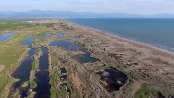 Shoreline Lakes