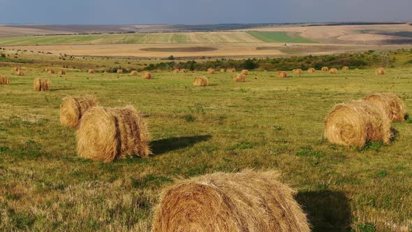 Hay in Rolls on a Rural Scenic Field with a Drone Filmed