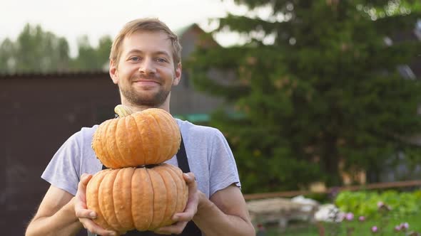 Young smiling gardener in apron holding pumpkins in his garden. Great harvest.