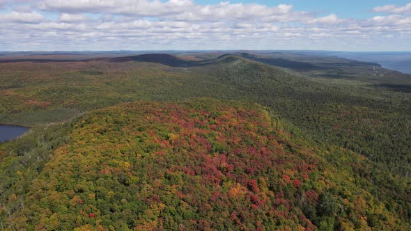 beautiful fall colors aerial view over a national forest